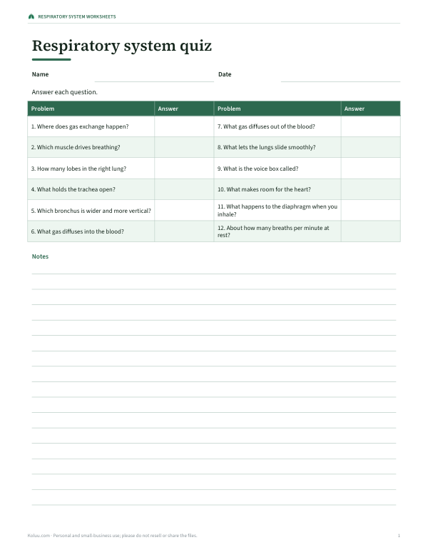 Preview of Printable Respiratory System Quiz