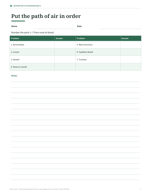 Preview of Printable Path of Air Worksheet